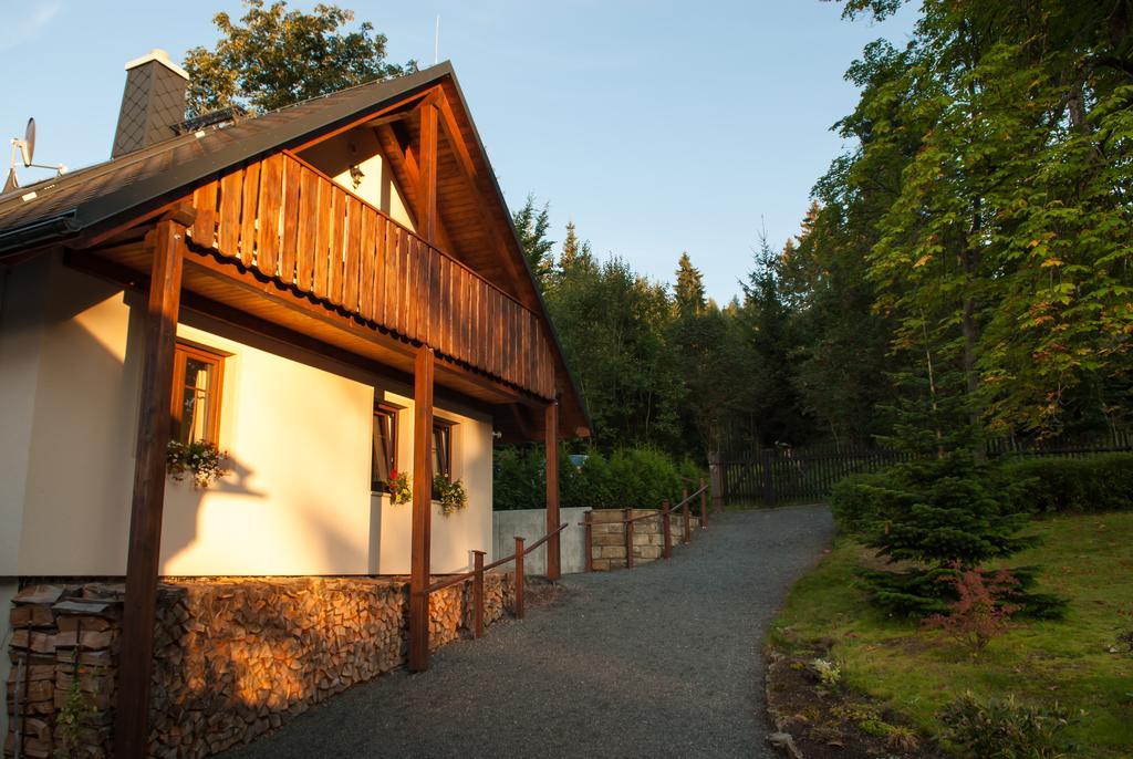 Haus Waldfrieden Apartment Altenberg Bagian luar foto