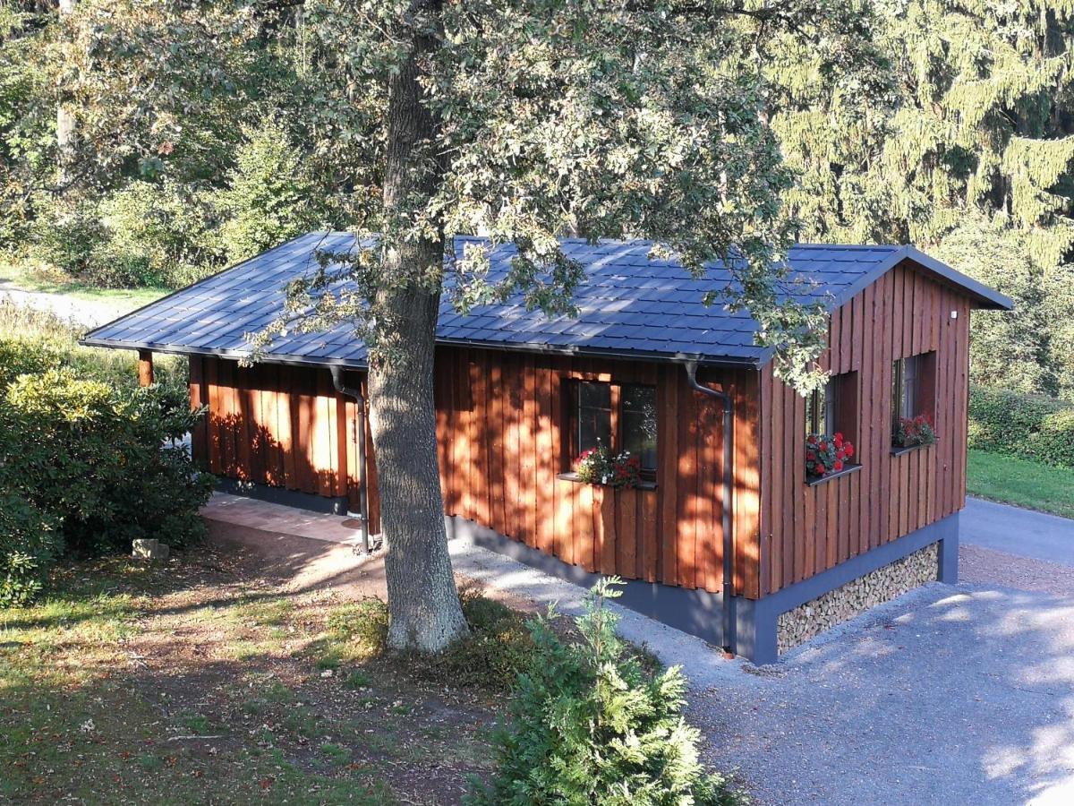 Haus Waldfrieden Apartment Altenberg Bagian luar foto