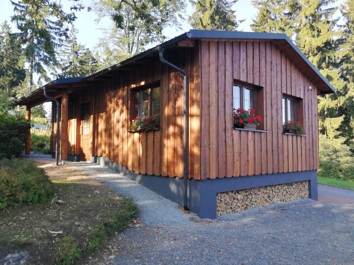 Haus Waldfrieden Apartment Altenberg Bagian luar foto
