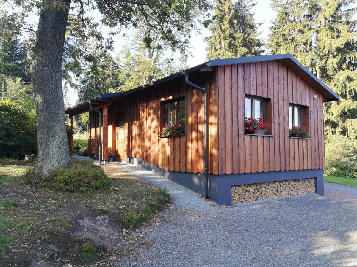 Haus Waldfrieden Apartment Altenberg Bagian luar foto